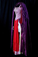 Sarah Sanderson Costume Hocus Pocus Dress Costumes Plus Size For Sale
